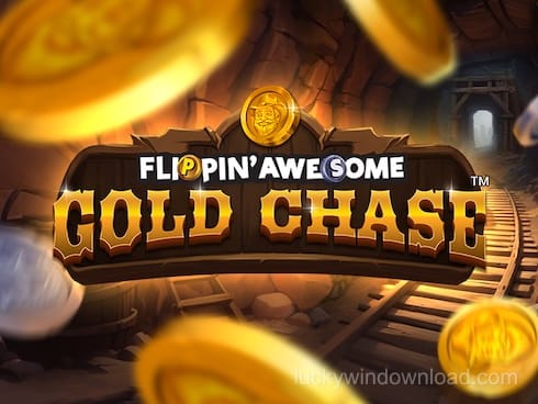 Flippin' Awesome Gold Chase