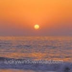 Avatar of Abdul Samad