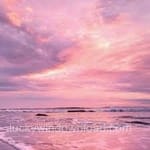 Avatar of Zahid Mirza